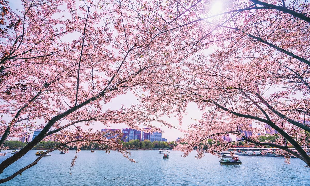 Seasonal Flower Blooms (March - August)