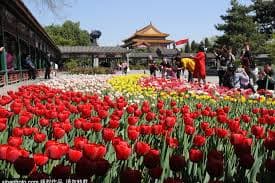 Seasonal Flower Blooms (March - August)