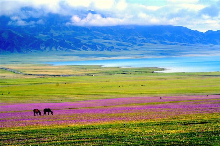 Jinghe — Sayram Lake — Guozigou Bridge — Yining