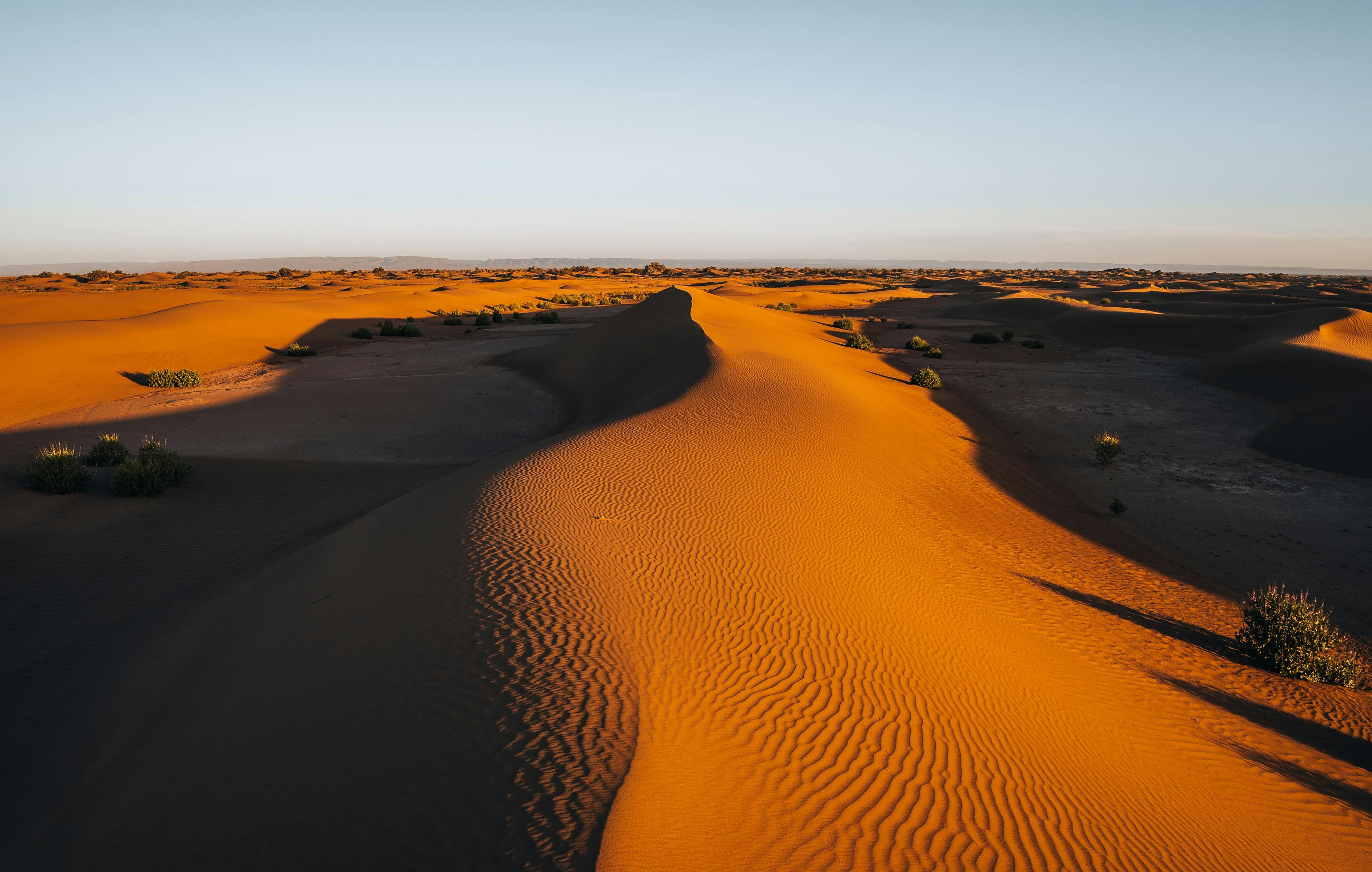Sahara Desert