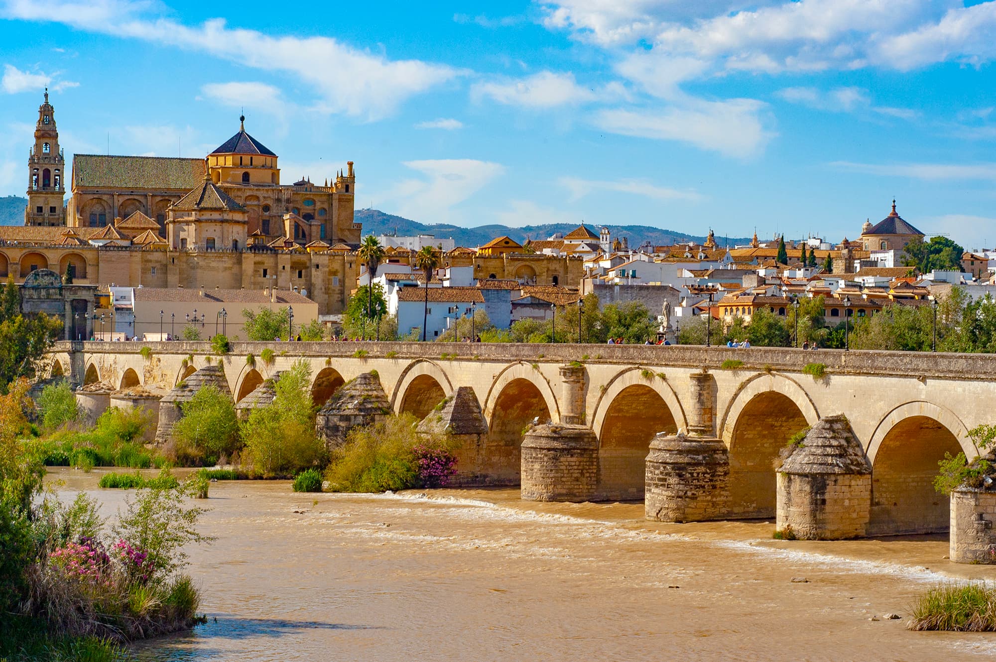Bridge of Musa bin Nusayr